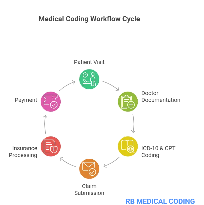 Medical coding workflow cycle showing patient visit, documentation, ICD-10 and CPT coding, claim submission, insurance processing and payment